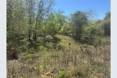 00 Dowdy Road, Kingsbury, TX 78638 - Photo 8