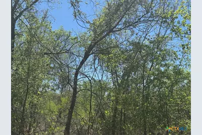 00 Dowdy Road, Kingsbury, TX 78638 - Photo 10