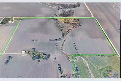 19374 Pennington Branch Road, Holland, TX 76534 - Photo 4