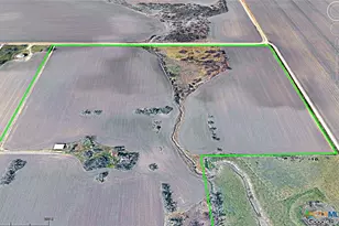 19374 Pennington Branch Rd, Holland, TX 76534 - Photo 4