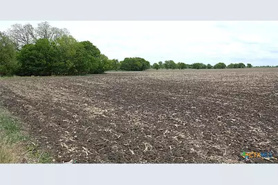 19374 Pennington Branch Road, Holland, TX 76534 - Photo 12