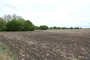 19374 Pennington Branch Rd, Holland, TX 76534 - Photo 12