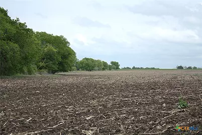 19374 Pennington Branch Road, Holland, TX 76534 - Photo 22