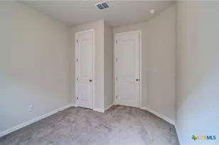 833 Saltbush St, New Braunfels, TX 78130 - Photo 10