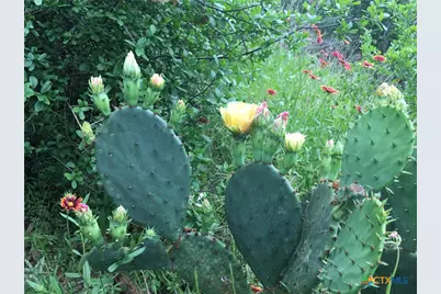 8 Fm 2814, Waelder, TX 78959 - Photo 12