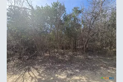 Tbd Estate Trail, Belton, TX 76513 - Photo 2