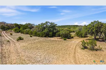 11387 Fm 32, Fischer, TX 78623 - Photo 8