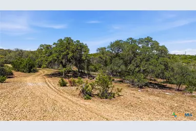 11387 Fm 32, Fischer, TX 78623 - Photo 14