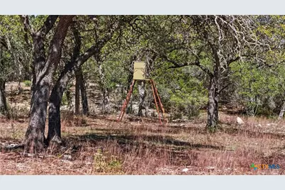 11387 Fm 32, Fischer, TX 78623 - Photo 20