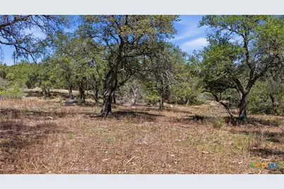 11387 Fm 32, Fischer, TX 78623 - Photo 20