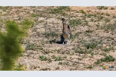 11387 Fm 32, Fischer, TX 78623 - Photo 6