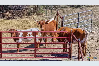 11387 Fm 32, Fischer, TX 78623 - Photo 38