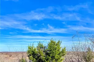 Tbd Tract H Scull Rd, Martindale, TX 78655 - Photo 4