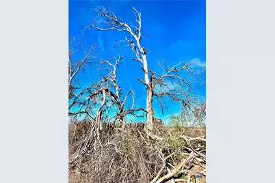 Tbd Tract H Scull Rd, Martindale, TX 78655 - Photo 6