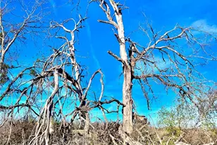 Tbd Tract H Scull Rd, Martindale, TX 78655 - Photo 6