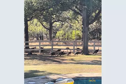 1224 Fm 3432, La Vernia, TX 78121 - Photo 48