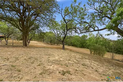 3500 Scull Road, Martindale, TX 78655 - Photo 38
