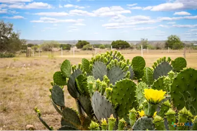 155 Maverick, New Braunfels, TX 78132 - Photo 44