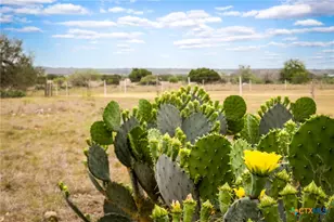 155 Maverick, New Braunfels, TX 78132 - Photo 44