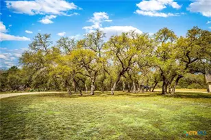 155 Maverick, New Braunfels, TX 78132 - Photo 14