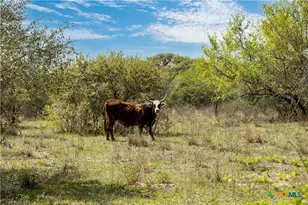 000 Nursery Rd, Victoria, TX 77904 - Photo 10