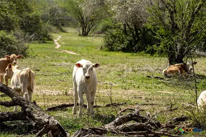 000 Nursery Road, Victoria, TX 77904 - Photo 12