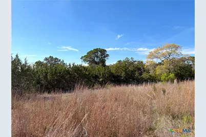 126 Riddle Road, Spring Branch, TX 78070 - Photo 8