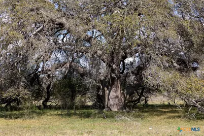 128 County Road 214, Hallettsville, TX 77964 - Photo 22