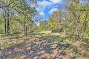 556 Wildwood Trail, Lorena, TX 76655 - Photo 28
