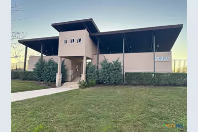 366 Silver Springs Bend, Kyle, TX 78640 - Photo 12