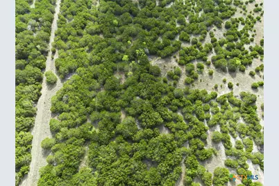 Tbd Cr 139, Gatesville, TX 76528 - Photo 4