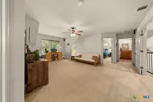 289 Mariposa Loop, New Braunfels, TX 78132 - Photo 30