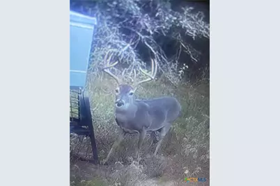 737 Private Road 1065, Hallettsville, TX 77964 - Photo 6