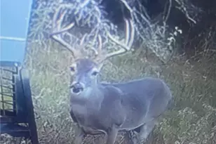 737 Private Rd 1065, Hallettsville, TX 77964 - Photo 6