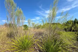 849 Scenic Hills Dr, Canyon Lake, TX 78133 - Photo 30