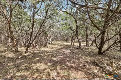 1500 Rebecca Creek Road, Canyon Lake, TX 78133 - Photo 22