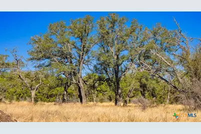 4772-1 County Road 340, Burnet, TX 76905 - Photo 6