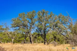 4772-1 County Road 340, Burnet, TX 76905 - Photo 6