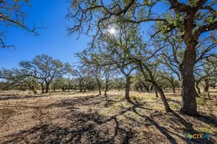 4772-1 County Road 340, Burnet, TX 76905 - Photo 8