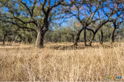 4772-1 County Road 340, Burnet, TX 76905 - Photo 12