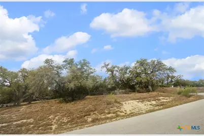 2364 Campestres, Spring Branch, TX 78070 - Photo 12