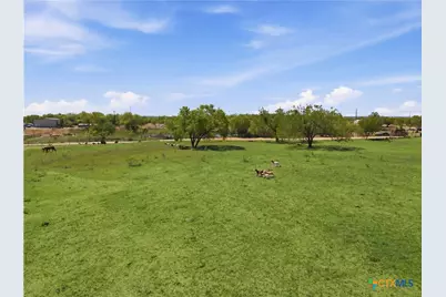 7293 Fm 327, Elmendorf, TX 78112 - Photo 8
