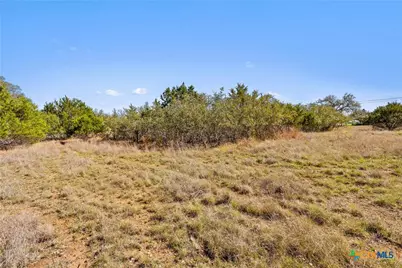 207 N Calvin Barrett, Blanco, TX 78606 - Photo 6