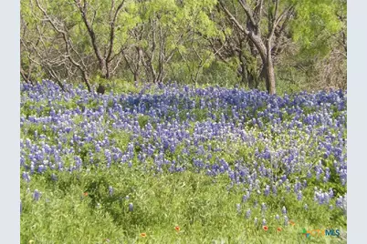 4849 Fm 1030, San Saba, TX 76877 - Photo 46
