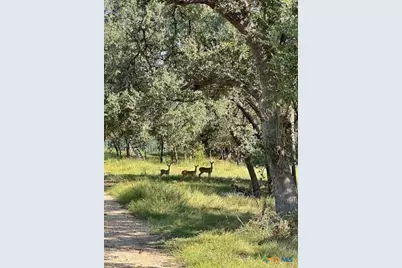 14450 Fm 2843, Salado, TX 76571 - Photo 8