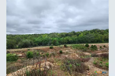 3385 Fulton Ranch Road, Wimberley, TX 78676 - Photo 4