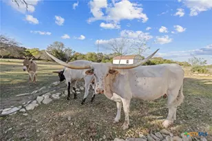 375 Branch Creek Trail, Liberty Hill, TX 78642 - Photo 36