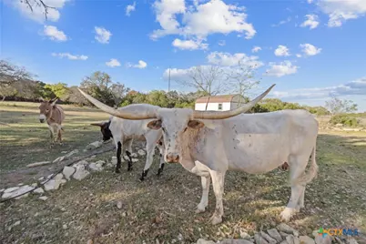 375 Branch Creek Trail, Liberty Hill, TX 78642 - Photo 36