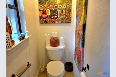 1332 Johnson Road, Canyon Lake, TX 78133 - Photo 16