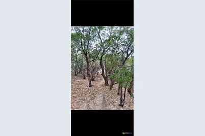 1332 Johnson Road, Canyon Lake, TX 78133 - Photo 36